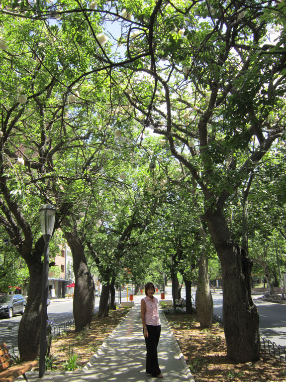 Córdoba City :: Argentina